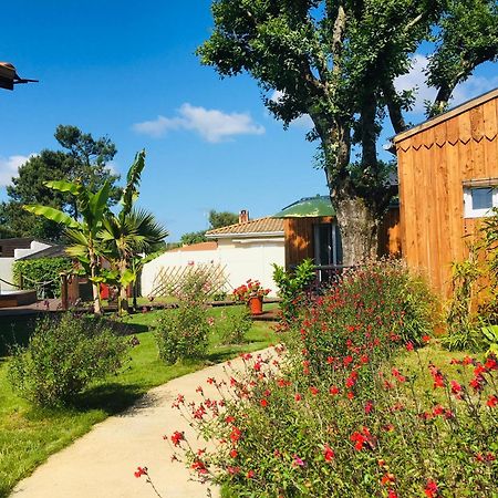 Les Petits Chalets De Kzo La Teste-de-Buch Exterior photo
